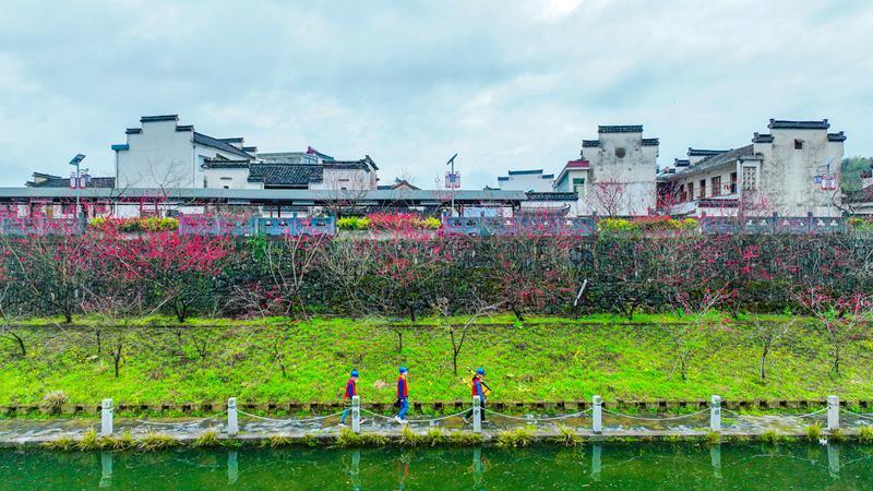 新時代新征程新偉業(yè)｜村網共建 電靚和美鄉(xiāng)村