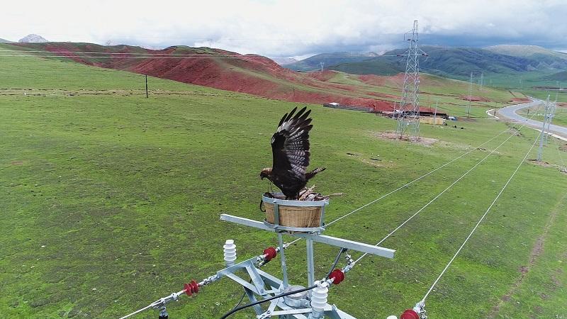 國(guó)家電網(wǎng)與青海省委省政府舉行會(huì)談