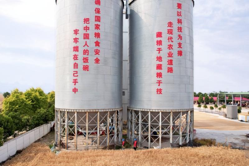 沿著總書記的足跡｜中原大地電助豐收